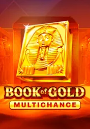 Book of Gold Multichance