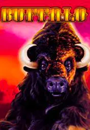 Buffalo