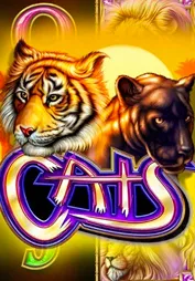 Cats