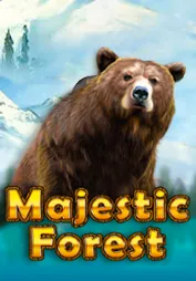 Majestic Forest