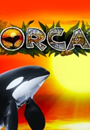 Orca