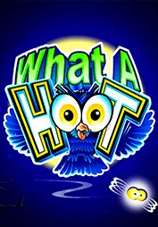What a Hoot