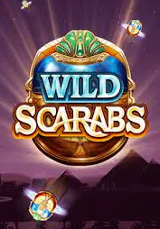 Wild Scarabs