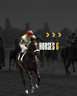 Horses 6 V2 - OD