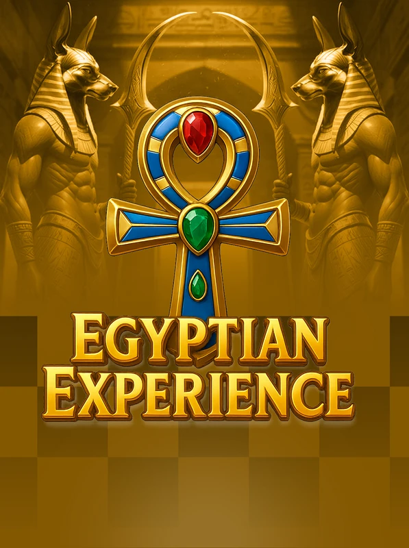 Egyptian Experience 